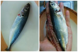 Tanpa dipresto dan dibelah pakai pisau, trik keluarkan tulang duri ikan ini bikin dagingnya tetap utuh