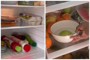 Praktis tanpa dibongkar, ini cara basmi bau tak sedap dan udara lembap di kulkas pakai 1 bahan dapur