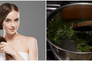 Lebat dan kuat tanpa jahe, ini cara bikin hair tonic penumbuh rambut tipis cuma pakai 2 jenis daun