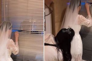 Perjuangan di balik layar saat pengantin ingin foto ini bikin jantung deg-degan, ada aja kelakuannya