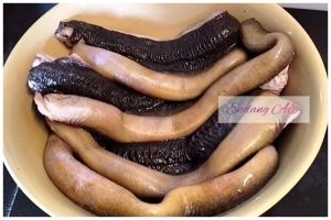 Jangan cuma ditaburi garam, ini trik hilangkan lendir dan bau amis pada ikan belut pakai 3 bahan dapur