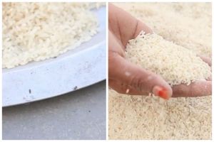 Bukan pakai rempah atau bumbu dapur, begini cara cepat enyahkan kutu beras dengan 1 alat sederhana