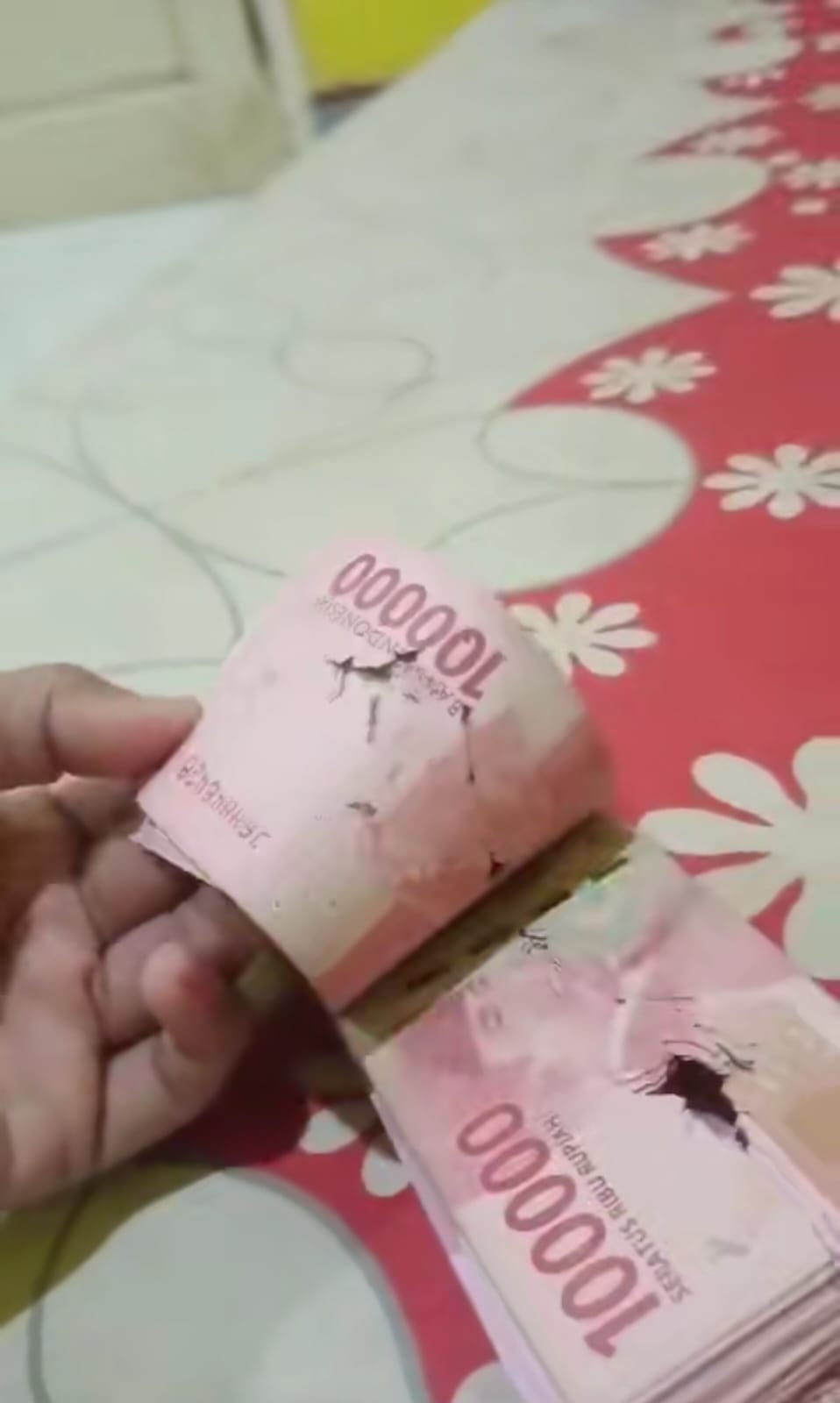 Momen pria capek-capek nabung tapi uangnya dimakan rayap ini bikin nyesek, bisa ditukar nggak ya?