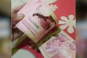 Momen pria capek-capek nabung tapi uangnya dimakan rayap ini bikin nyesek, bisa ditukar nggak ya?