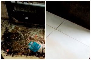 Modal Rp2.000, begini cara mudah bersihkan kerak di lantai cuma pakai 2 bahan dapur