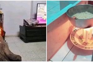 11 Potret kocak cara masak ini hanya bisa dilakukan orang gabut bin absurd, bikin tepuk jidat