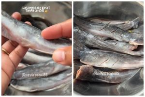 Bukan diolesi garam, ini trik menghilangkan lendir ikan lele agar kesat cuma pakai 1 bahan dapur