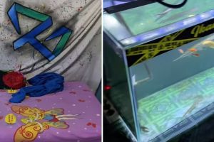 Tidur sekamar dengan banyak hewan peliharaan, penampilan kamar pria ini bikin geleng kepala