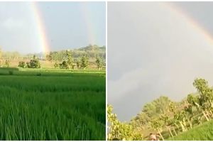 Momen pria ngos-ngosan kejar ujung pelangi ini bikin yang nonton ikutan capek, begini penjelasannya