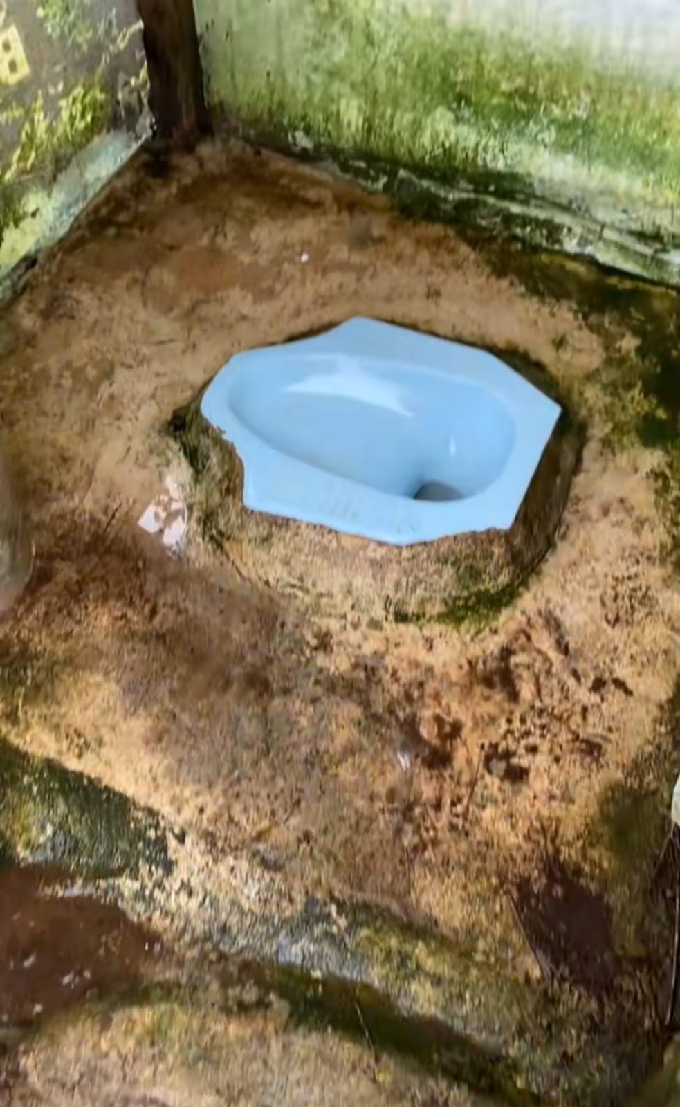 Definisi menyatu dengan alam, konsep toilet outdor ini bisa buang hajat sambil lihat pemandangan