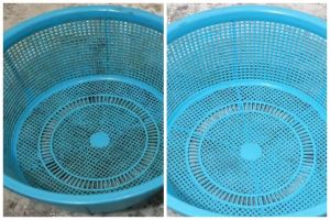 Tak perlu disikat, ini cara menghilangkan noda membandel di keranjang makanan cuma pakai 2 bahan dapur