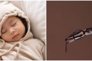 10 Arti mimpi digigit ular di tangan menurut Islam, isyarat ada rintangan di masa depan