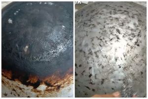 Andalkan 1 alat elektronik, cara wanita bersihkan pantat wajan berkerak ini antimainstream tapi ampuh