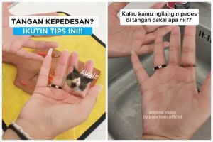 Bukan digosok garam, ini cara cepat hilangkan rasa panas bekas cabai di tangan pakai 1 jenis minuman