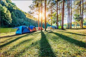 Momen camping tapi tak bisa pasang tenda ini antisipasinya absurd abis, definisi yang penting liburan