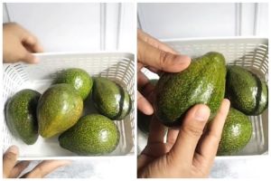 Bukan diperam beras, ini trik jitu mematangkan alpukat pakai 2 alat agar empuk dalam 3 hari