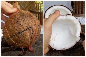 Tanpa keluarkan tenaga ekstra, ini cara melepas daging kelapa dari tempurungnya pakai 1 bahan dapur
