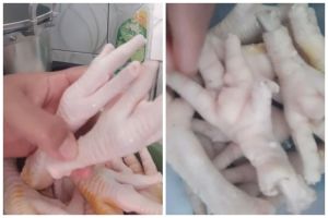 Hanya butuh 10 menit, begini cara mengempukkan ceker ayam agar lumer dan antiamis pakai 1 jenis rempah