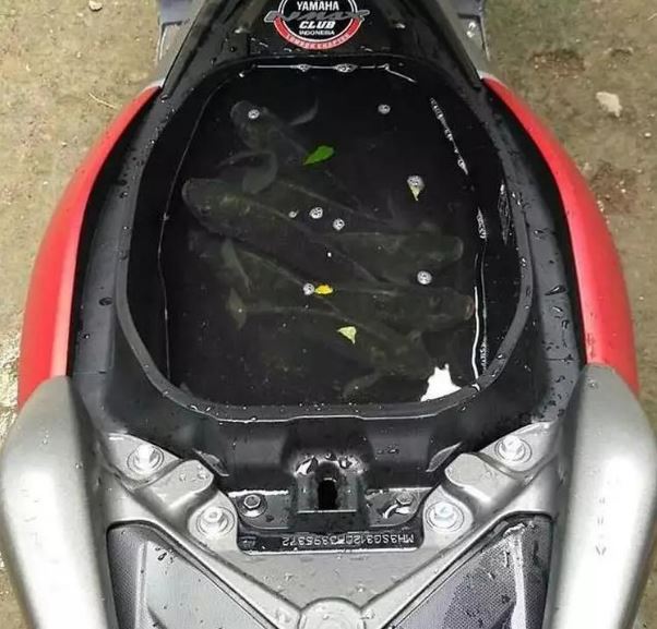 11 Potret kocak fungsi nyeleneh bagasi motor ini nggak habis pikir, auto geleng-geleng kepala