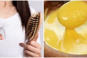 Bukan pakai tonic penumbuh, ini cara bikin rambut rontok jadi lebih subur cuma dengan 3 bahan dapur
