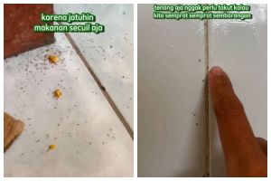 Bukan pakai kulit jeruk, ini trik ampuh mengusir sekaligus mencegah semut hanya dengan 1 bahan dapur