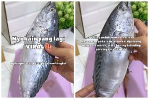 Bukan direbus dulu, ini trik hilangkan racun ikan tongkol agar tak bikin alergi atau keracunan makanan