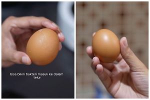 Jangan dicuci dengan air, ini trik bersihkan telur agar bebas bakteri dan tetap higienis saat disimpan