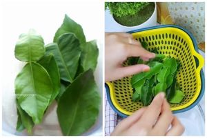 Bukan di freezer, ini trik simpan daun jeruk agar tetap hijau dan tak kering hingga 1 bulan