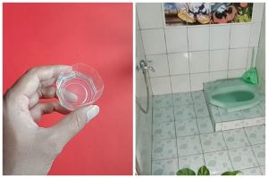 Tanpa meletakkan kapur barus, trik agar kamar mandi wangi dan tak bau pesing ditambah 1 bahan dapur
