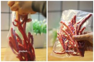 Tak perlu alat vakum, ini cara menyimpan cabai agar tetap segar hingga 1 bulan tanpa dibekukan