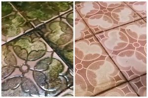 Tanpa diolesi sitrun, trik pria basmi noda lumut di keramik kamar mandi ini ampuh pakai 2 bahan dapur
