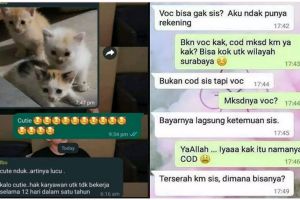 11 Chat lucu memperbaiki typo ini malah tambah nggak bener, bikin bingung berjamaah