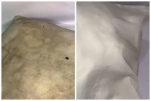 Tanpa diolesi sitrun, cara pemilik laundry bersihkan bantal kusam ini ampuh cukup tambah 1 bahan dapur