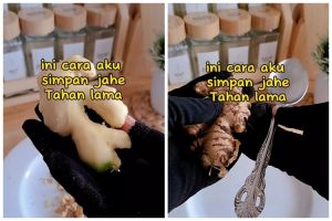 Bukan direndam air, ini cara menyimpan jahe agar tak kering dan keriput hingga berbulan-bulan