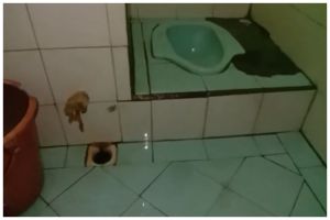 Tanpa pewangi dan kapur barus, ini trik hilangkan bau pesing di kamar mandi cukup pakai 1 bahan dapur