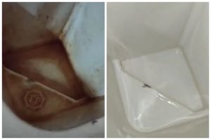 Tanpa disikat dan dicampur air panas, ini cara bersihkan kerak kuning di bak mandi pakai 1 bahan dapur