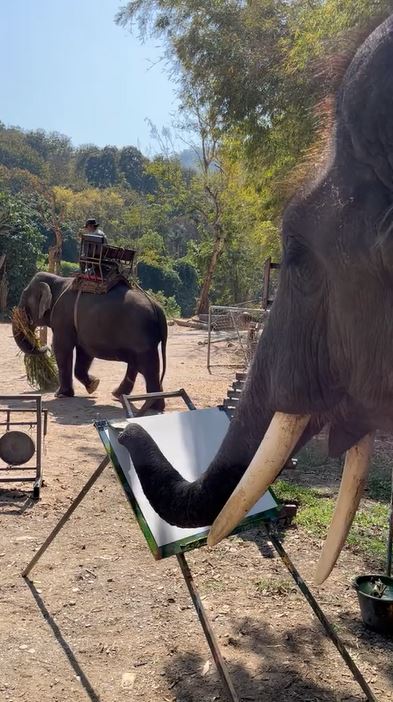 Momen gajah melukis pemandangan indah ini bikin setengah percaya, hasil coretannya bikin melongo