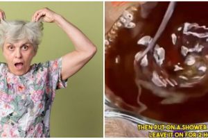 Tak cuma pakai kopi, trik menyamarkan tampilan uban agar kembali hitam dengan tambahan 2 bahan dapur