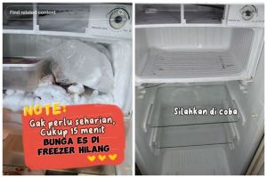 Tak perlu didiamkan semalaman, begini cara cepat cairkan bunga es di freezer kulkas dalam 15 menit