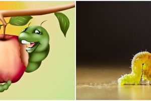 12 Arti mimpi ulat bulu yang bikin merinding ternyata ngga selamanya buruk