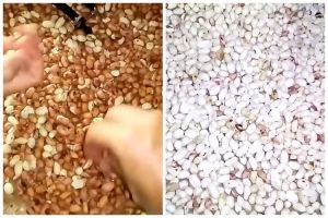 Tanpa direndam air panas, trik mengupas kulit ari kacang tanah ini cepat dan makin hemat waktu