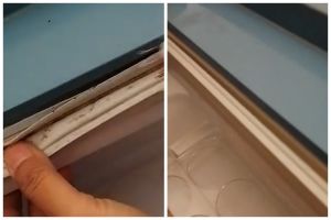 Tanpa dibongkar, ini cara bersihkan noda jamur di karet pintu kulkas pakai 1 bahan sederhana