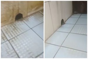 Tanpa diberi air panas, ini trik jitu hilangkan kerak keramik kamar mandi pakai tambahan 1 bahan dapur