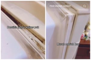 Bukan digosok pasta gigi, ini cara bersihkan karet pintu kulkas berjamur pakai 1 bahan dapur