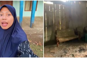 Huniannya sederhana tapi dapurnya seluas rumah tipe 36, begini 11 potret rumah seleb TikTok Yu Rob