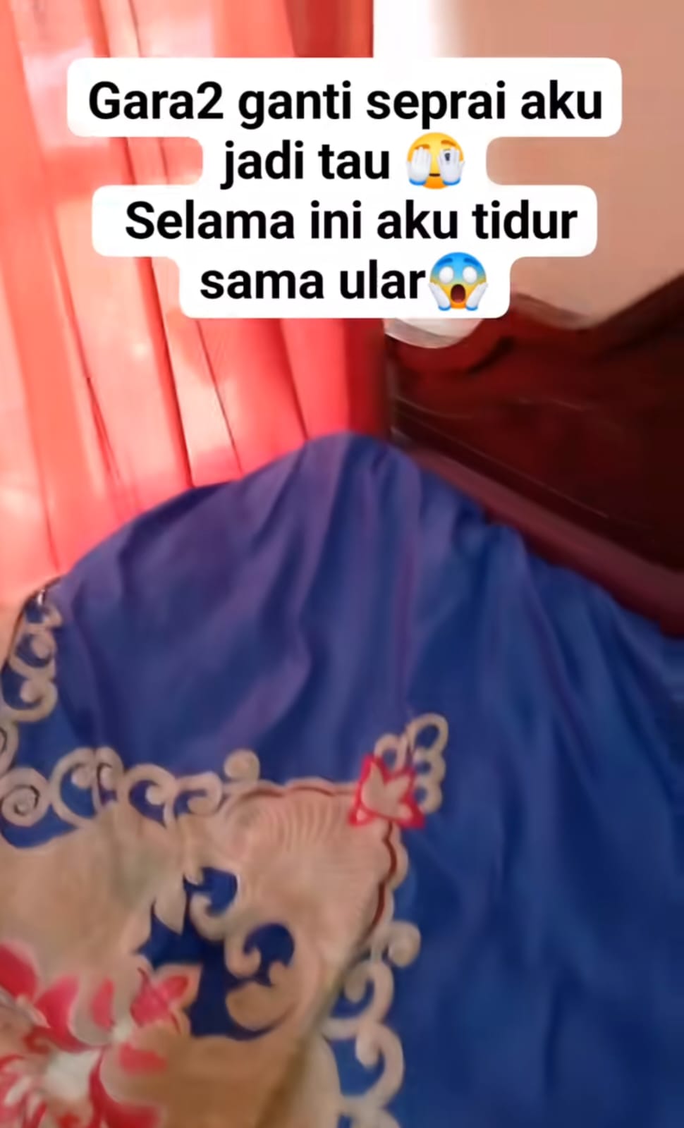 Wanita temukan kulit ular di kasurnya saat mengganti sprei, penampakannya bikin merinding