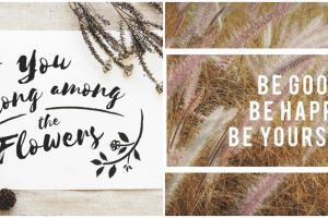 100 Blessed quotes bahasa Inggris beserta artinya agar lebih memaknai kehidupan