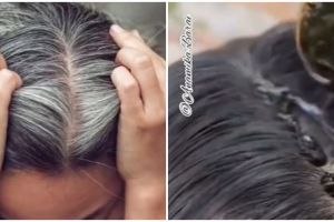 Tak perlu semir mahal, ini trik atasi uban agar kembali gelap cuma pakai 3 bahan dapur