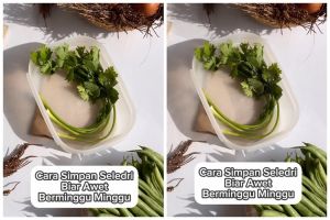 Tanpa dimasukkan kulkas, ini cara simpan seledri agar awet berminggu-minggu cuma pakai 1 bahan makanan