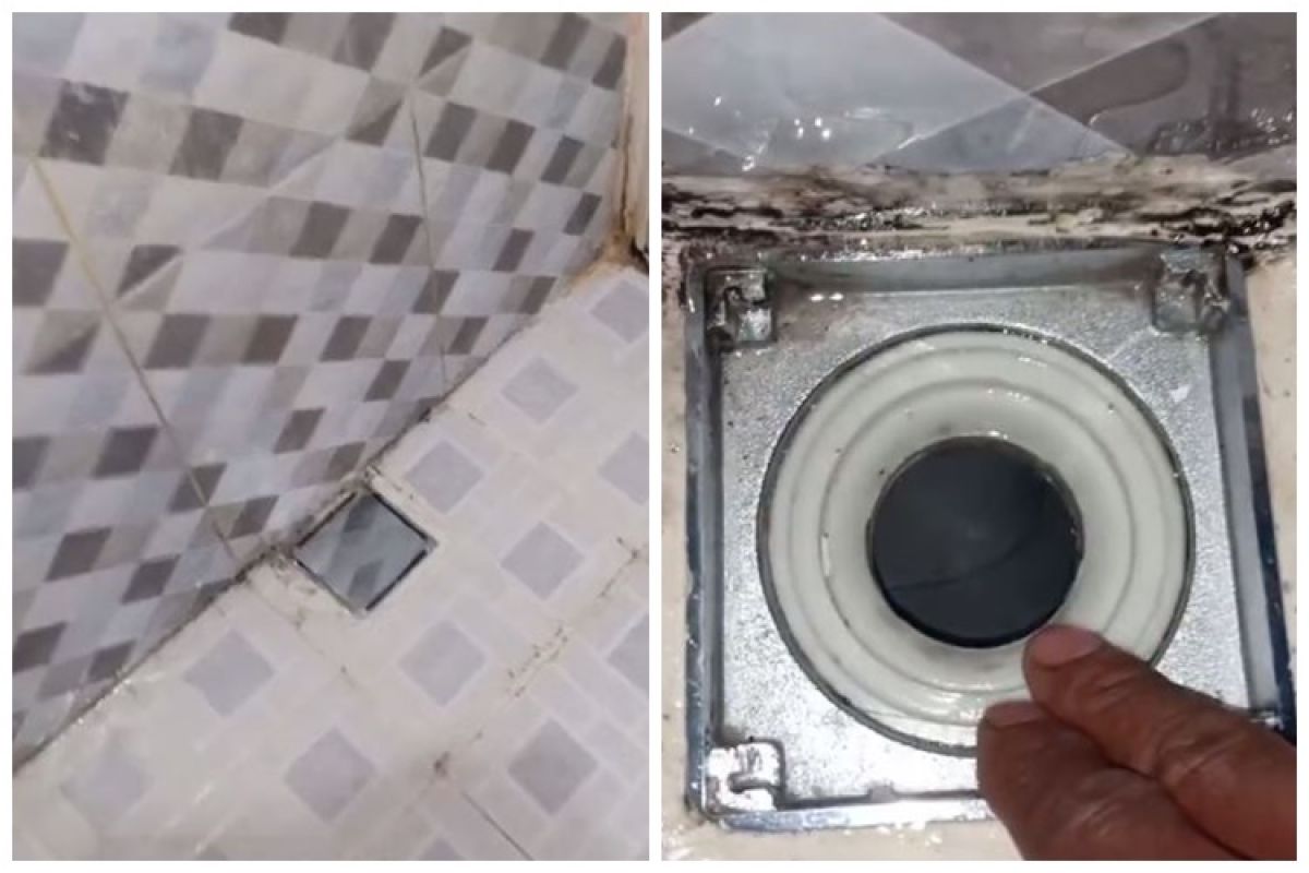 Without mothballs, this is an effective way to get rid of the smell of